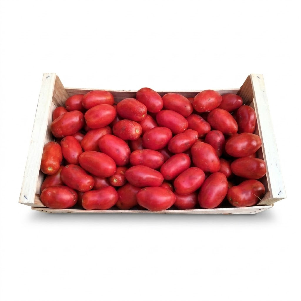🍅 CASSETTA POMODORI DA SALSA EXTRA | 10 kg