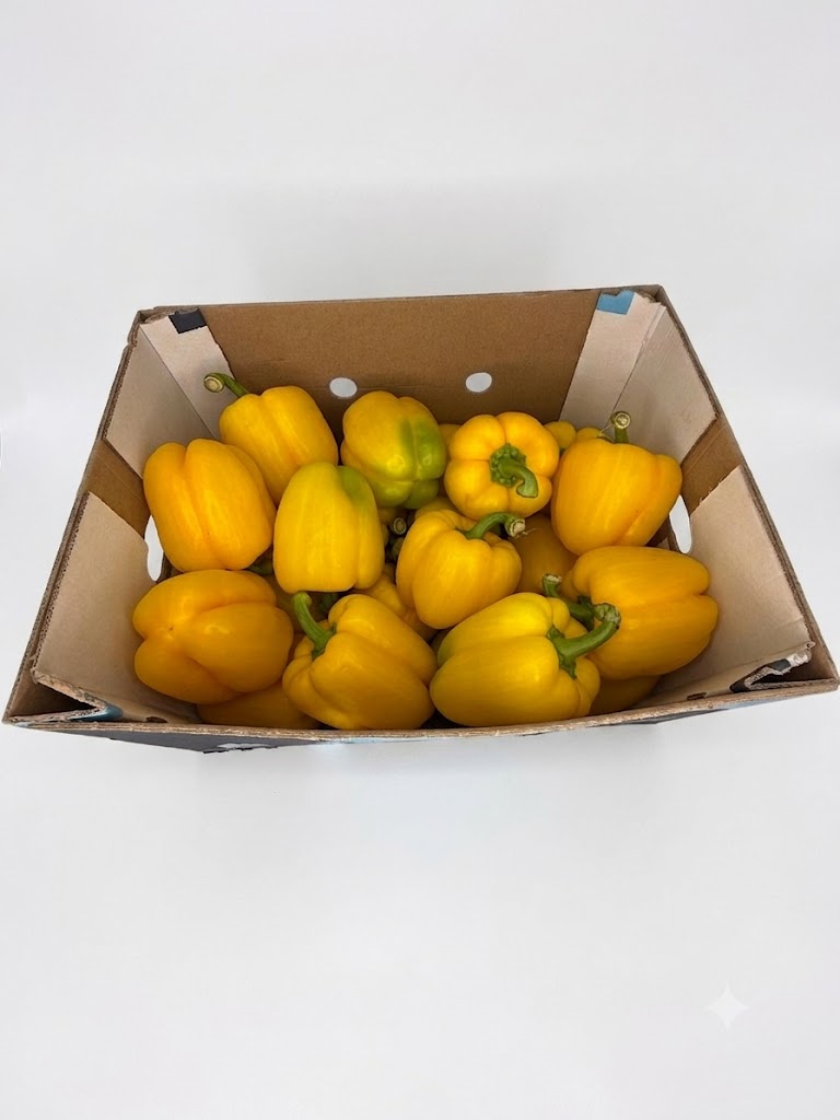 🫑 Cassetta di Peperoni Gialli – Formato Scorta da 5 kg