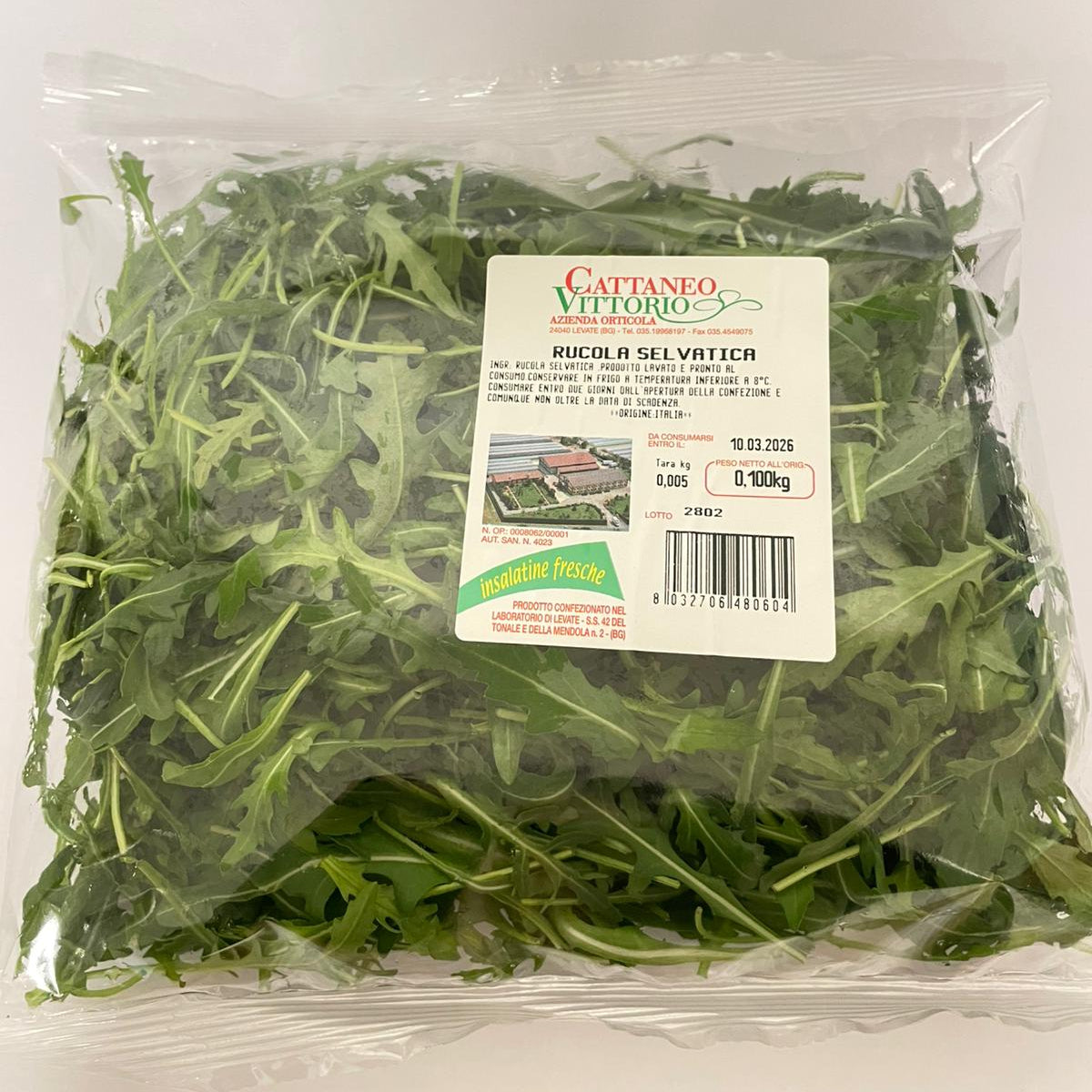 INS.RUCOLA SELVATICA | GR 100