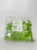 INS.VALERIANA | GR 100