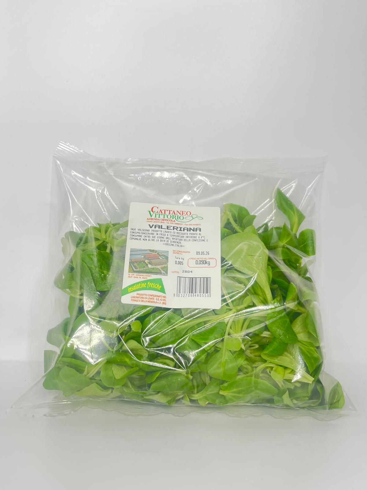 INS.VALERIANA | GR 100