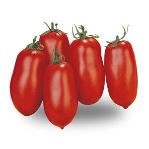🍅 Pomodoro Torino Scelto – Confezione da 500 g