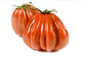 🍅 Pomodoro Cuore di Bue Scelto – Confezione da 500 g