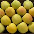 📦 Cassetta di Mele Golden Delicious – Formato Famiglia da 4,3 kg