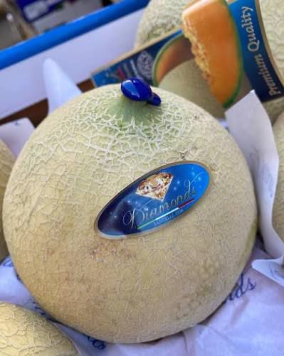 🍈 Melone mantovano i.g.p. | 1PZ | 1,3KG