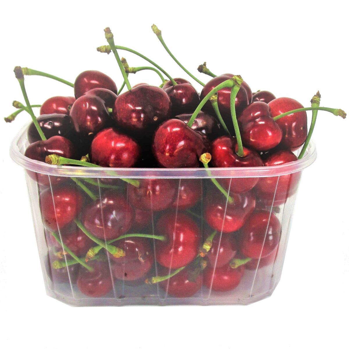 🍒 Ciliegie di Vignola| 500G
