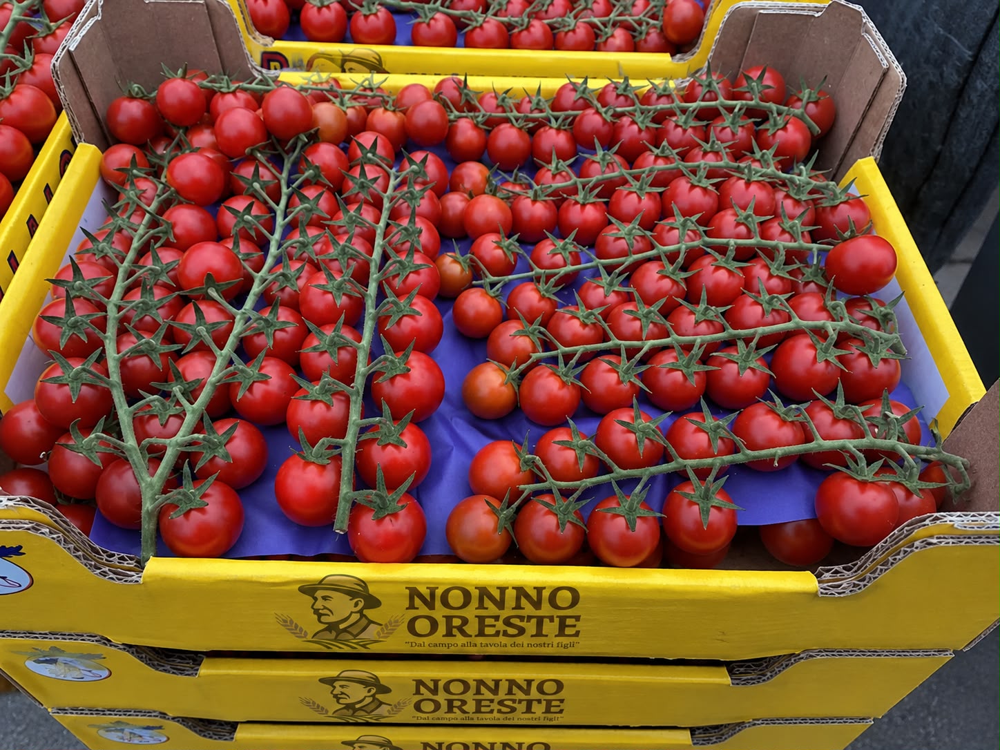 📦 Cassetta di pomodoro ciliegio siciliano – Formato Famiglia da 5 kg