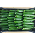 📦 Cassetta di Zucchine Fresche – Formato Scorta da 4,5 kg