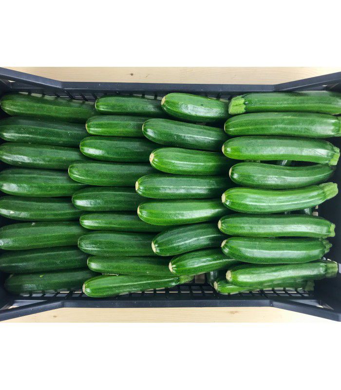 📦 Cassetta di Zucchine Fresche – Formato Scorta da 4,5 kg