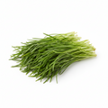 🥬 Agretti Freschi (Barba di Frate) – Confezione da 250g