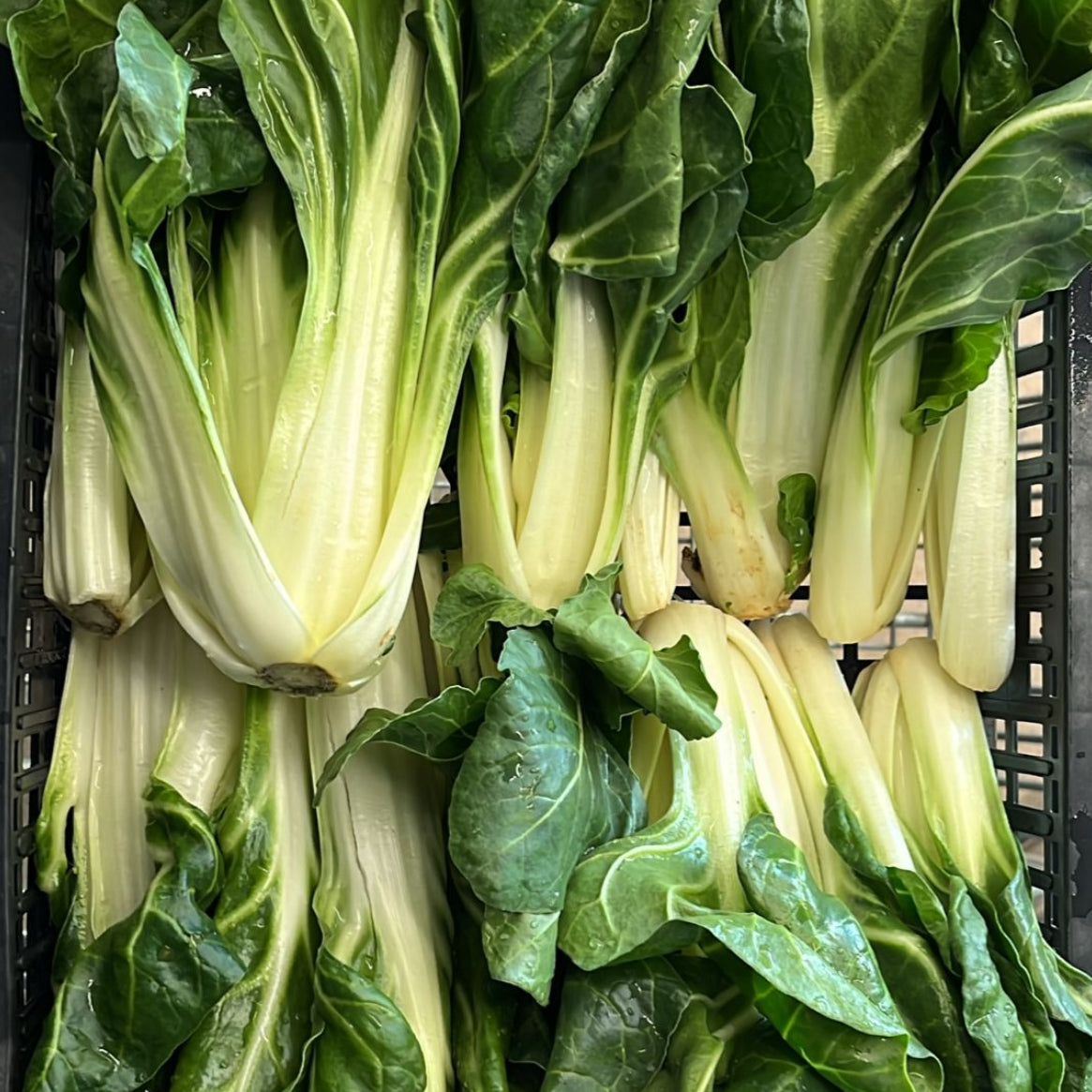 🧺 Cassetta Coste Fresche a Km 0 – Formato  da 1,8 kg