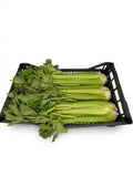 🌿 Cassetta di Sedano Fresco – Formato Scorta da 3,6 kg