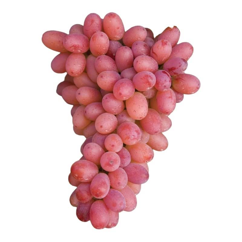 🍇 Uva Rosata Selezionata | 1 kg