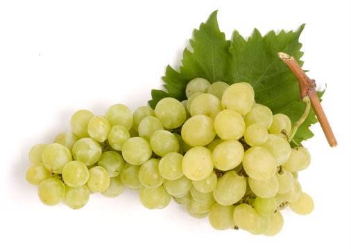 🍇 Uva Italia da Tavola Selezionata – Confezione da 1 kg
