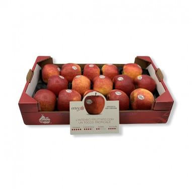 🍏 Mele Envy Premium – Formato da 4,1 kg