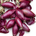 🧅 Cipolla Rossa di Tropea Calabria IGP – Confezione da 600g
