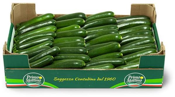 🥒 CASSETTA ZUCCHINE FRESCHE EXTRA | 8 kg