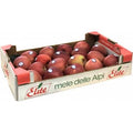 🍎 Cassa di Mele Stark Delicious – Formato Scorta da 5 kg