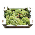 🍇 CASSETTA UVA ITALIA EXTRA | 10 kg