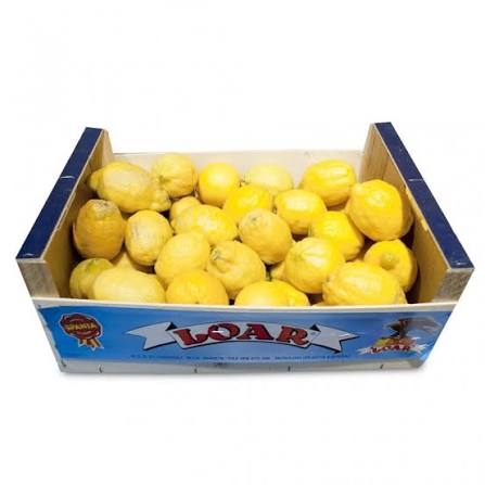 🍋 Cassa di Limoni Freschi – Formato Scorta da 10 kg