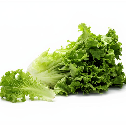 🥬 Insalata Gentile Nostrana a Km 0 – Confezione da 1 kg