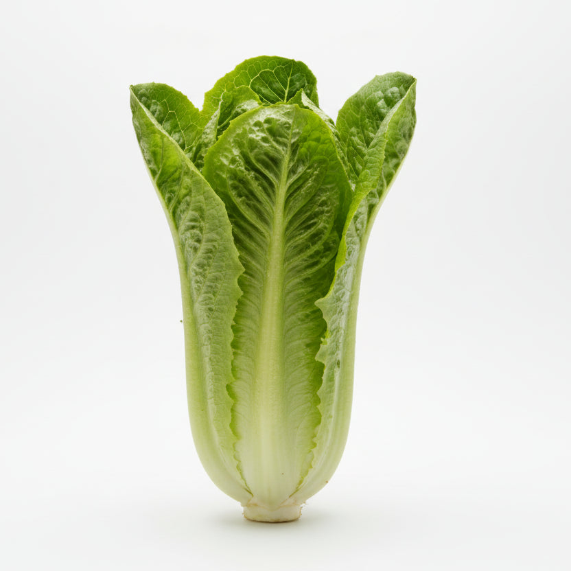 🥬 Insalata Milano – Confezione da 1 kg