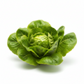 🥬 Lattuga Nostrana a Km 0 (Varietà Cappuccina) – Confezione da 1 kg