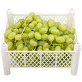 🍇 CASSETTA UVA PIZZUTELLA EXTRA | 10 kg