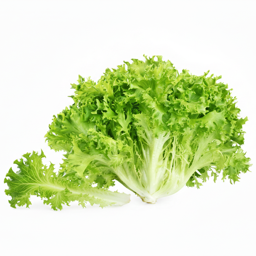 🥬 Insalata Scarola Nostrana a Km 0 – Confezione da 1 kg