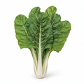 🥬 Coste Locali a Km 0 (Bietole da coste) – Confezione da 1 kg