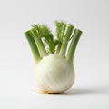 🥬 Finocchi Scelti Categoria II – Confezione da 1 kg