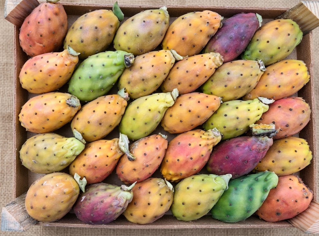 🌵 CASSETTA FICHI D'INDIA SICILIANI | 4 kg
